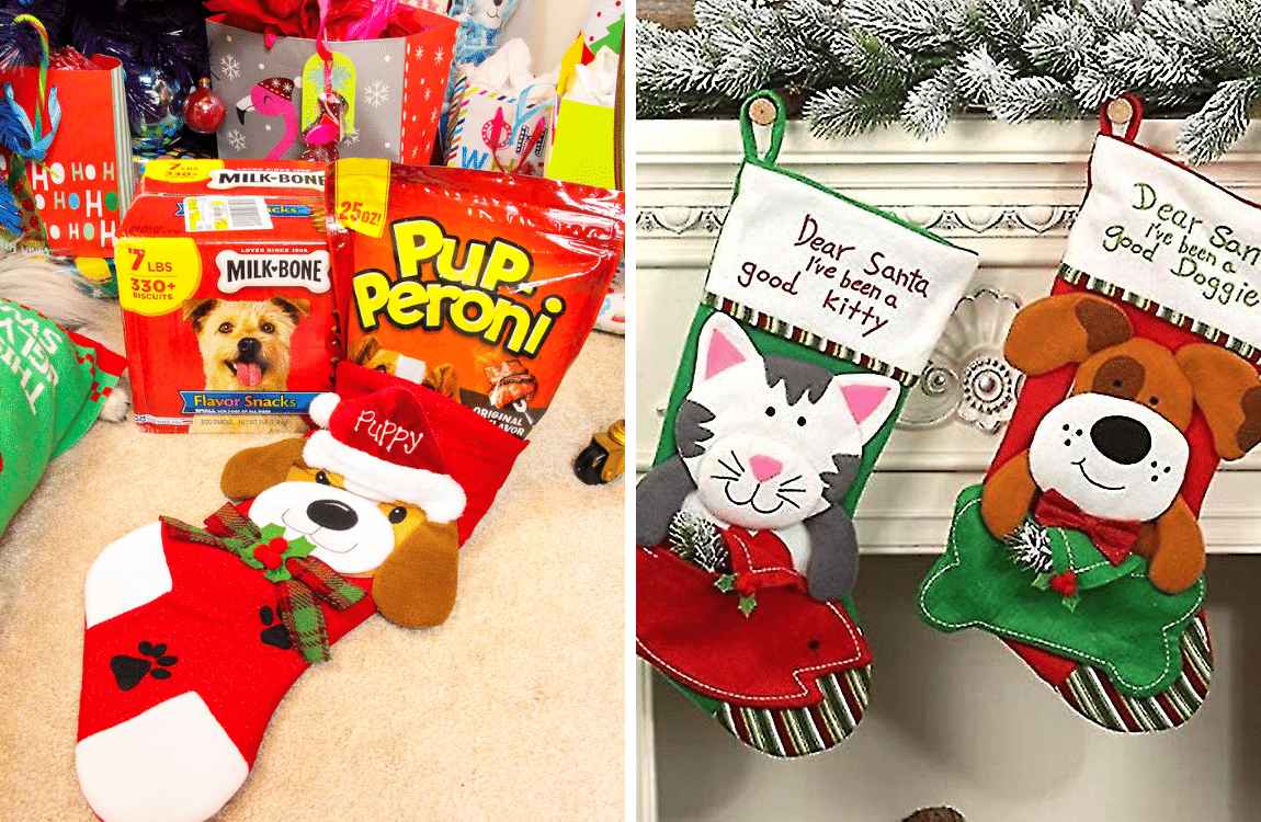 What Do You Put In A Christmas Dog Stocking? Festive Doggy Gifts!