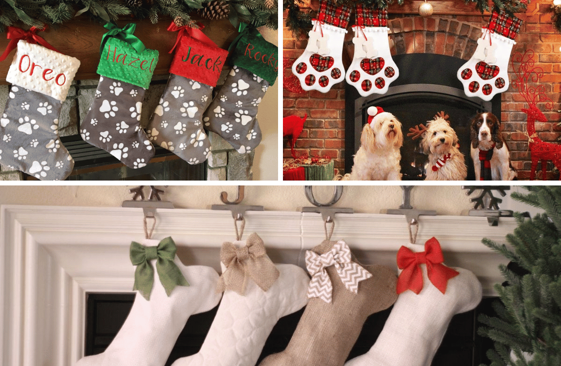 7 Pawsome Presents: #1 BEST Dog Christmas Stocking!